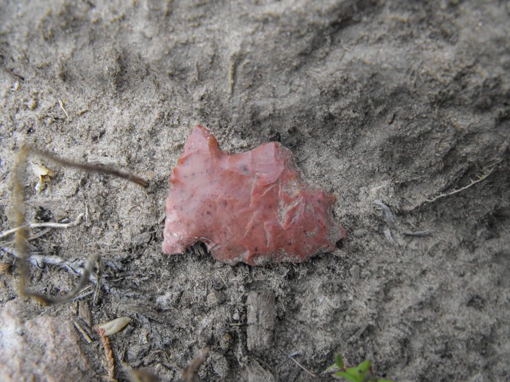 2009_06203arrowheads0041.jpg