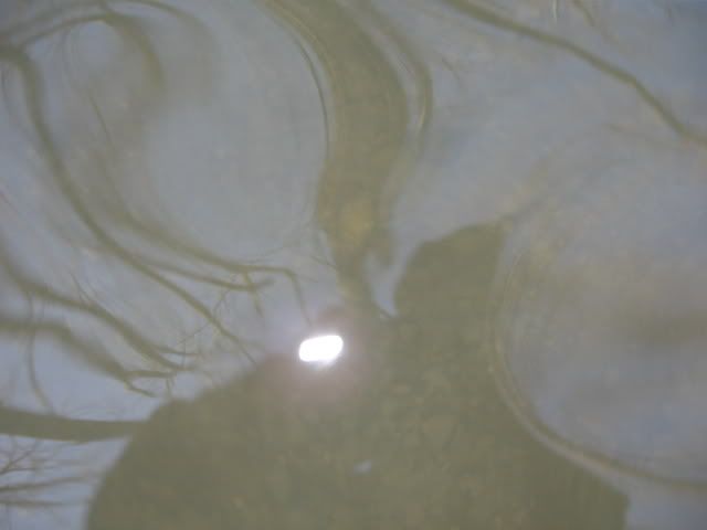 02-25-2009005.jpg