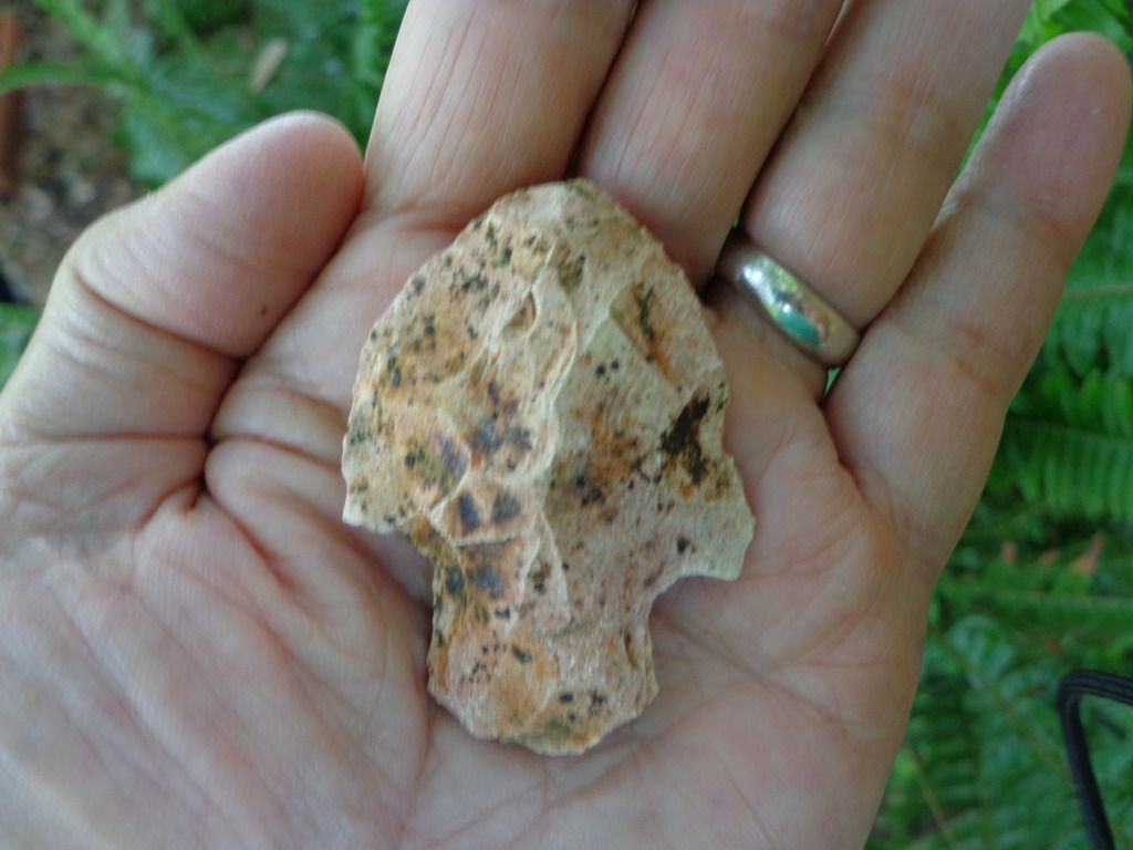 DSC00015.jpg
