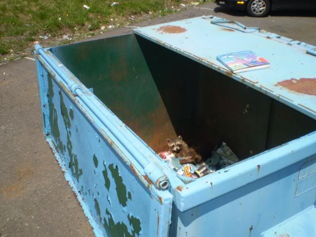 P5230012.jpg