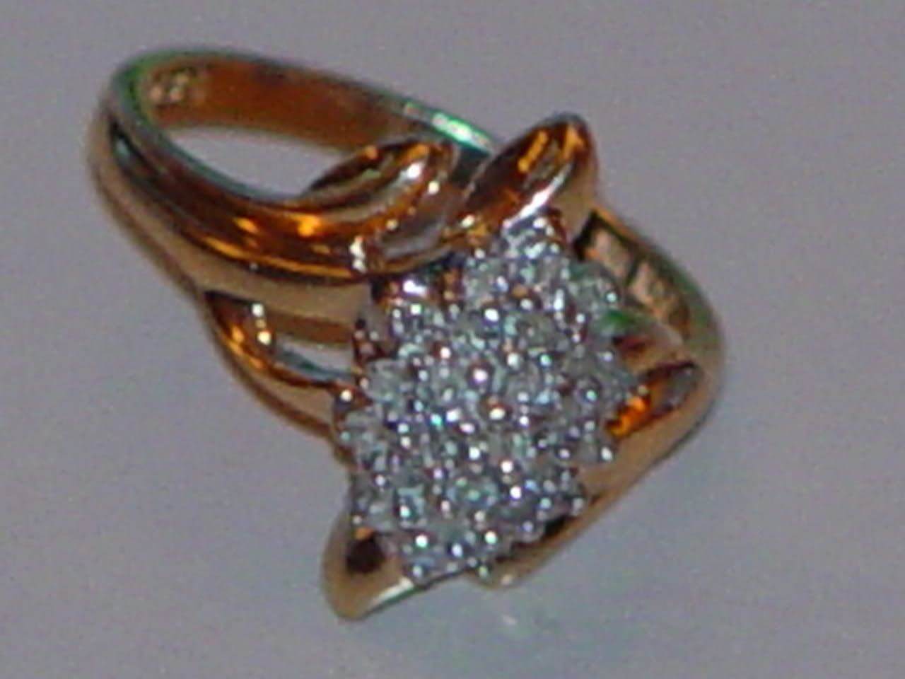 DSC01803.jpg