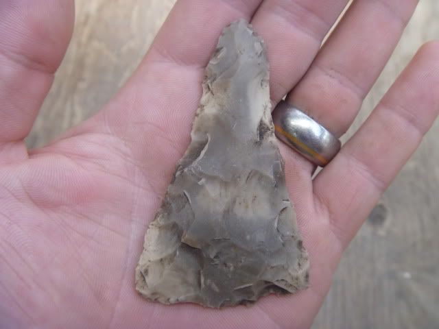 P1050169.jpg