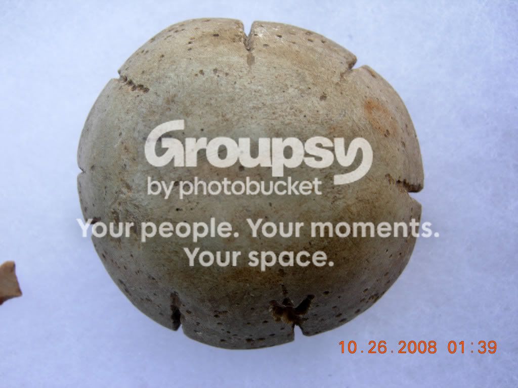 DSCN1272.jpg