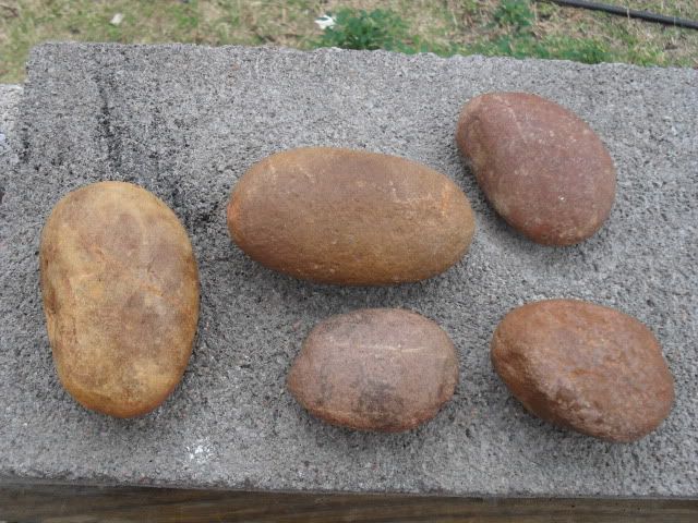 SDC10104.jpg