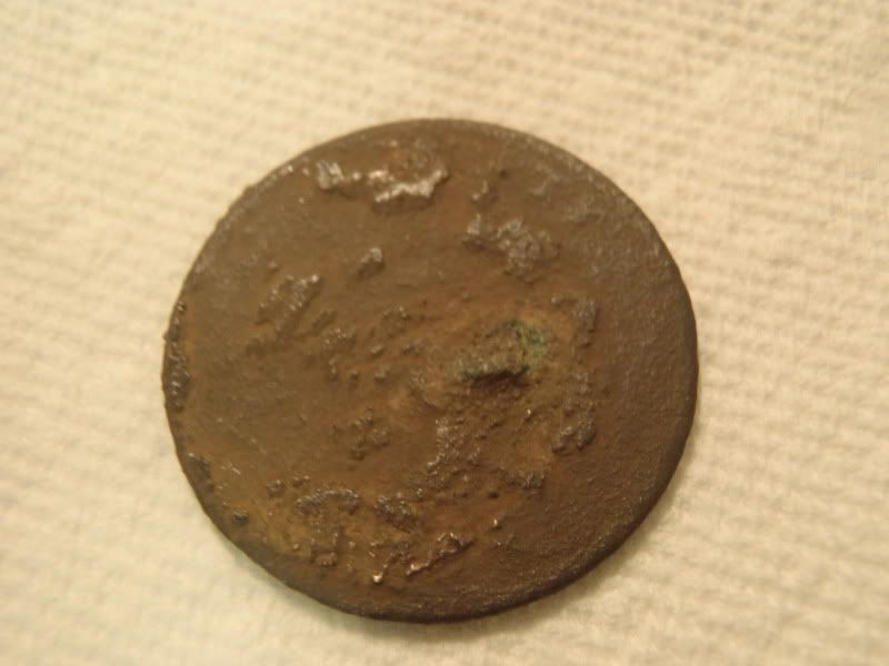 PB100262.jpg