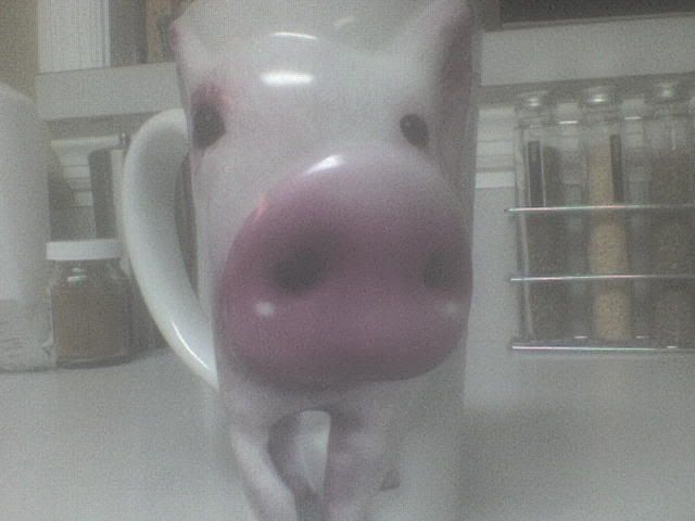 piggymug2.jpg