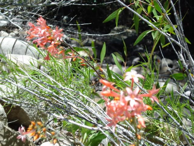 027-6.jpg