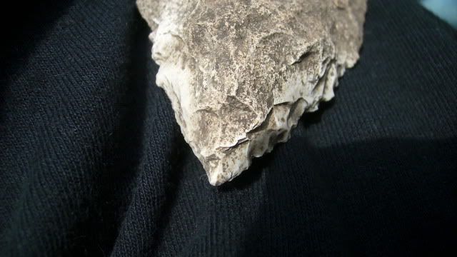 DSCI0067.jpg