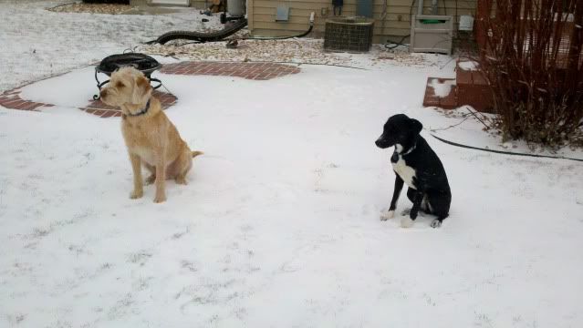 2011-11-19_12-56-42_352.jpg
