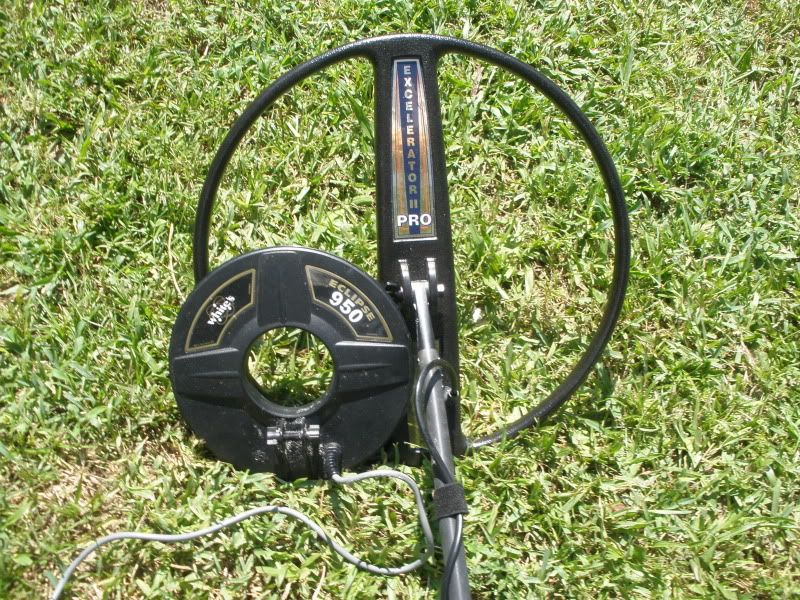 MD013.jpg