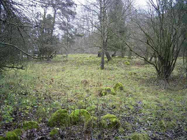 20Nov10CastleB.jpg
