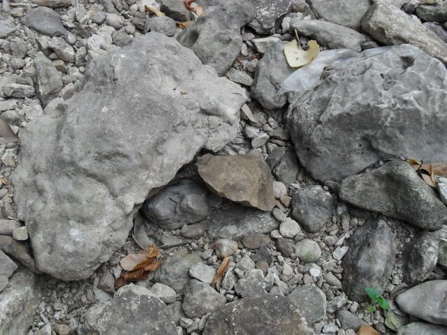 SDC10016.jpg