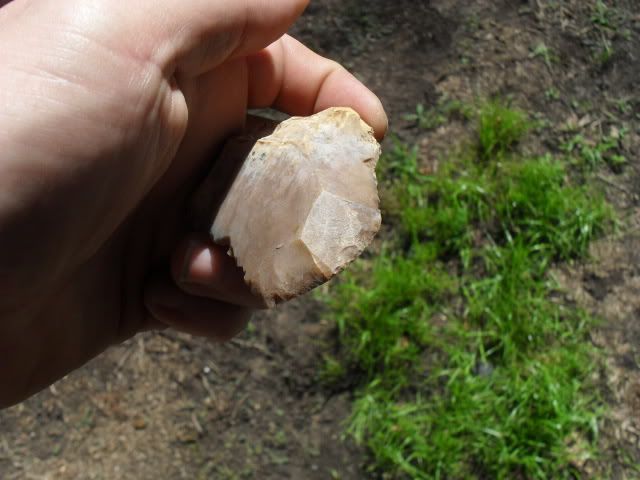 SDC10889.jpg