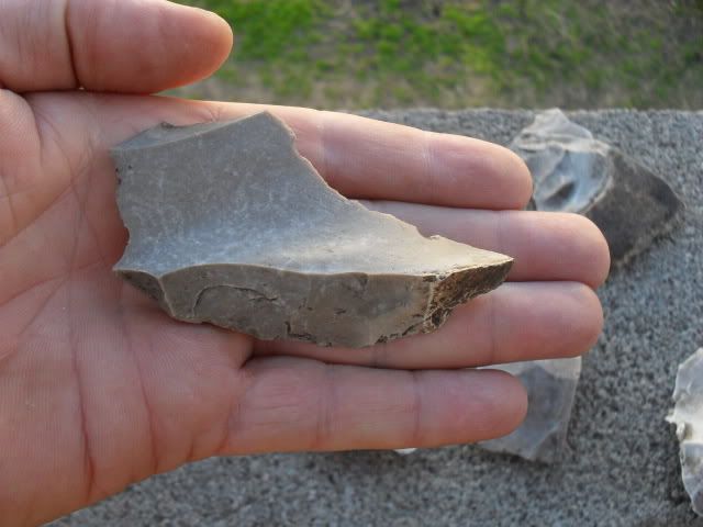 SDC10052.jpg