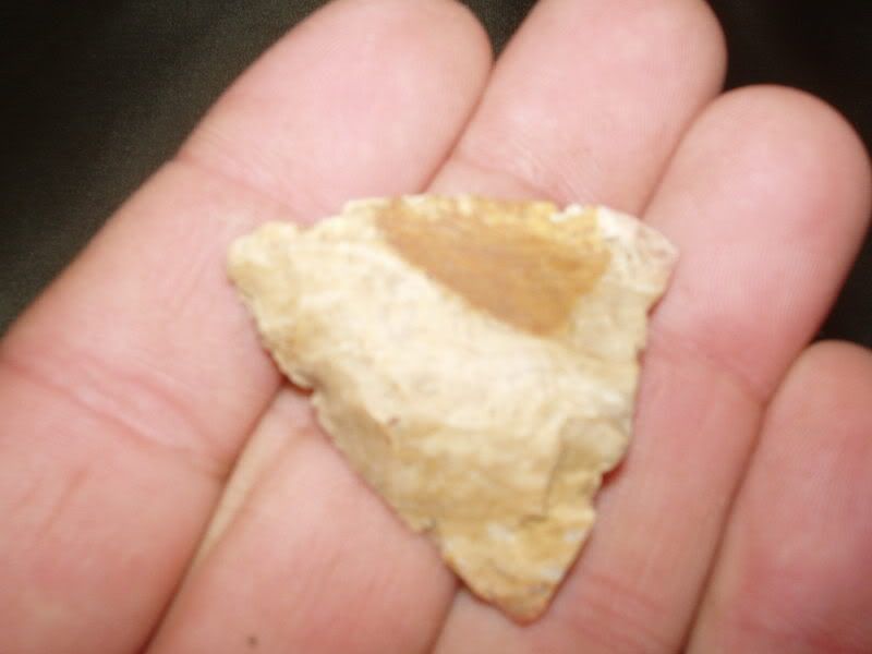 PC100093.jpg