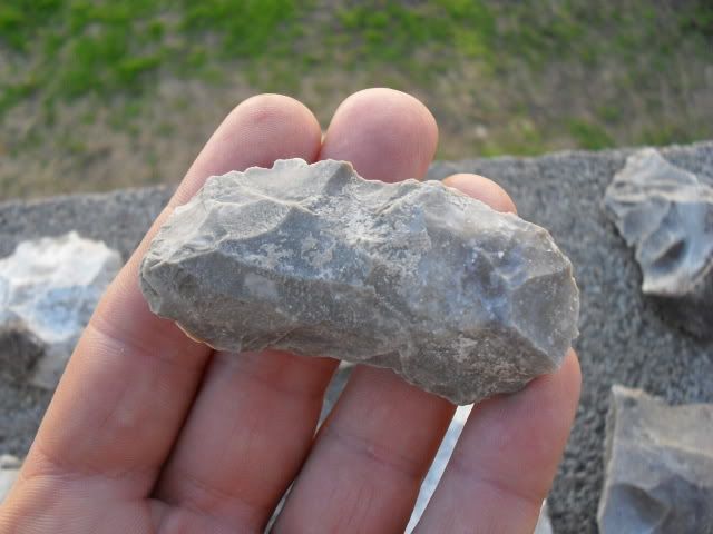 SDC10057.jpg