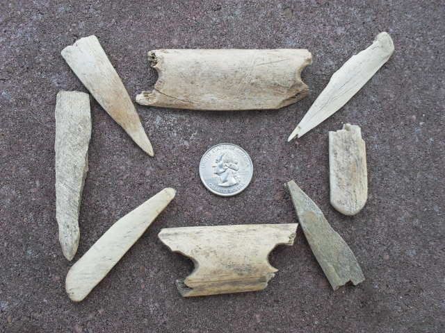 SDC11398.jpg