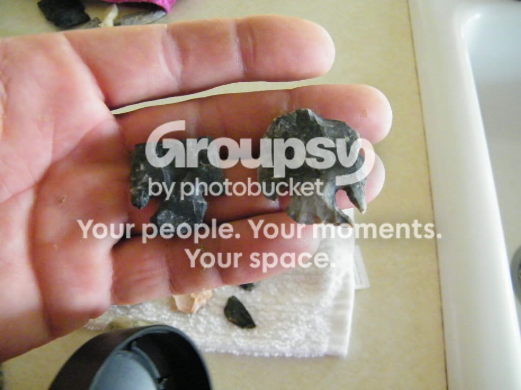 greg-rocksartifactcollection560.jpg