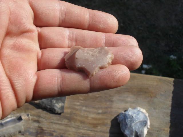 SDC10705.jpg