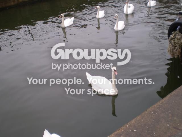 P9200028.jpg