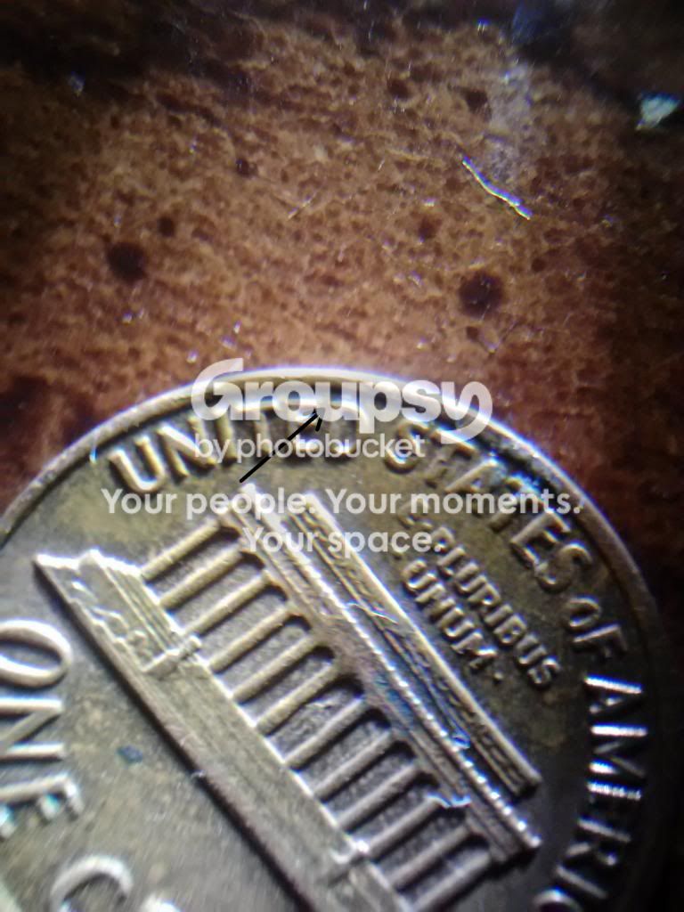 CAM00959_zpsaa966814.jpg