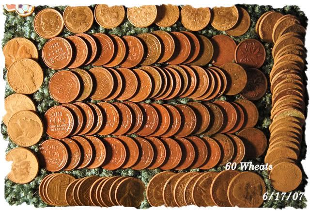 60wheats640.jpg