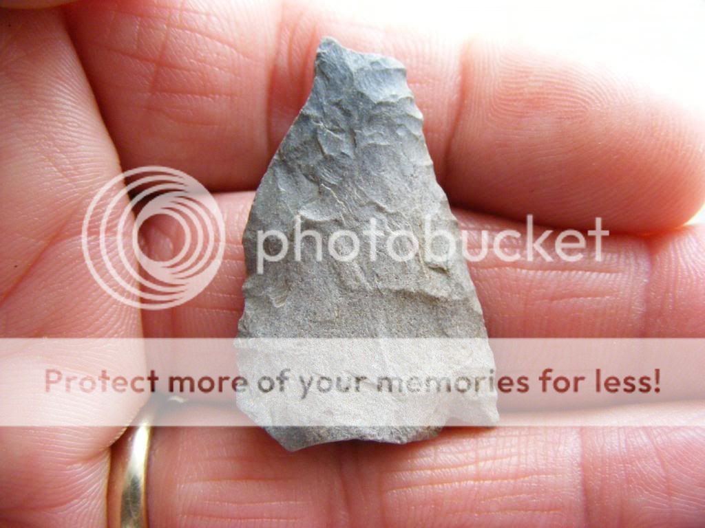 2009_0308BSL0005.jpg