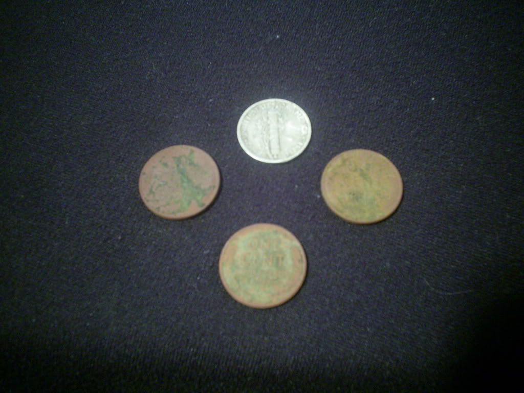 S4022291-1.jpg