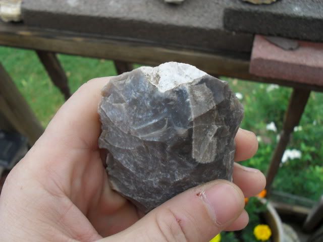 SDC10774.jpg