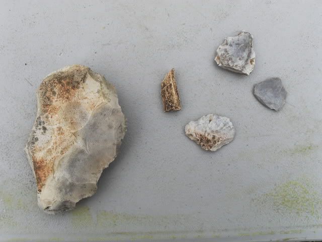SDC11467.jpg