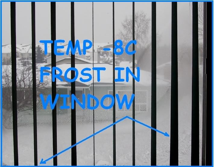 windowfrost2.jpg