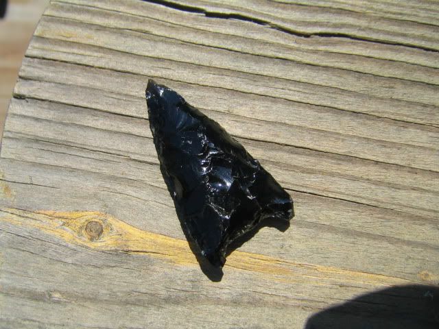 IMG_5015.jpg