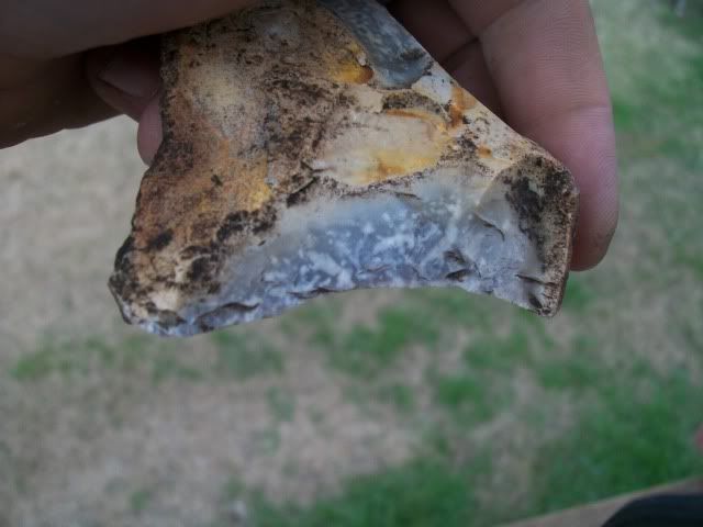 100_0424.jpg