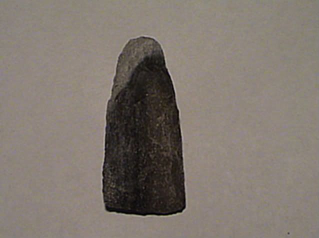 realniceadze070.jpg