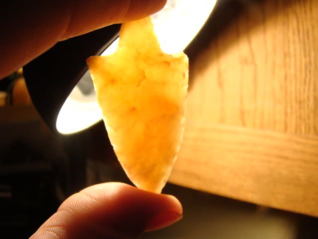 DSC03043.jpg