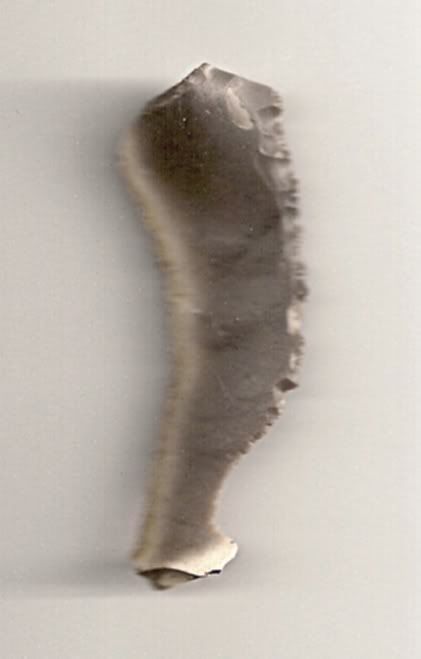 scan002001-2.jpg
