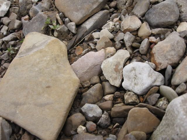 arrowhead02-20-2009004.jpg