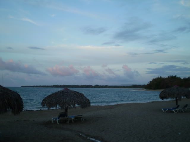 PA110022-1.jpg