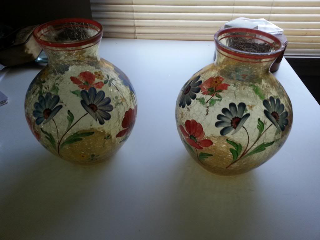 20130225_130127_zpsb419321e.jpg