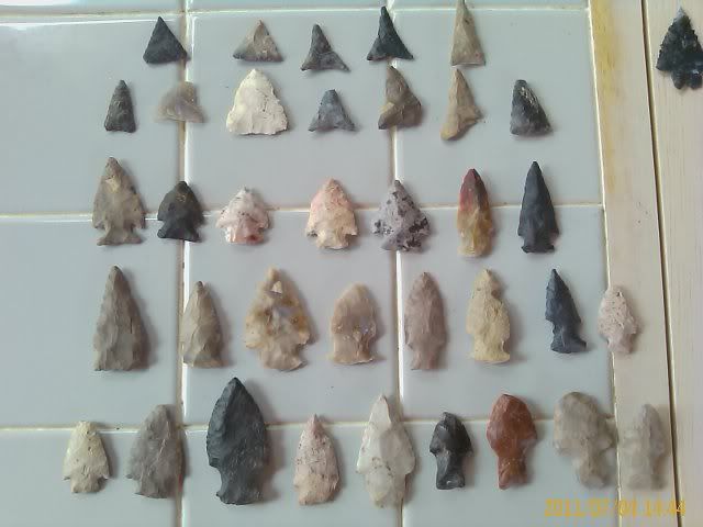 IMAGE_450.jpg