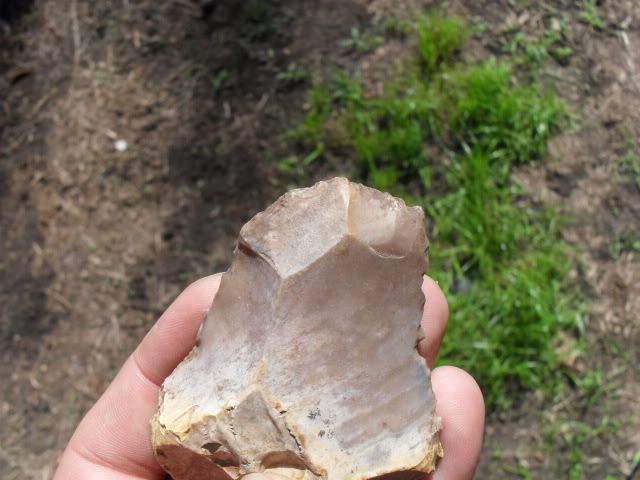 SDC10888.jpg