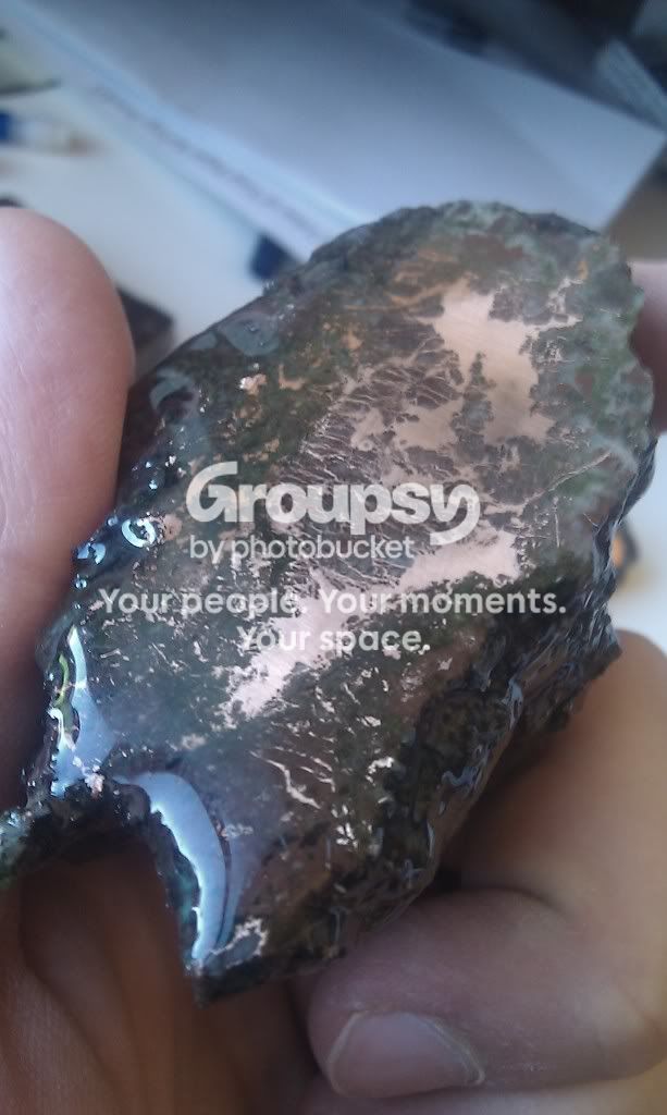 IMAG0342.jpg