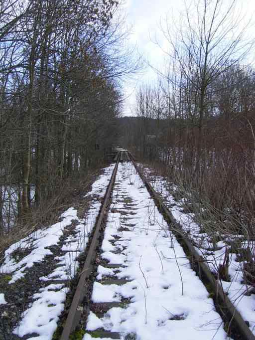 8Feb09WBRRbridge.jpg