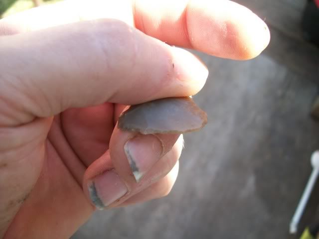 100_0539.jpg