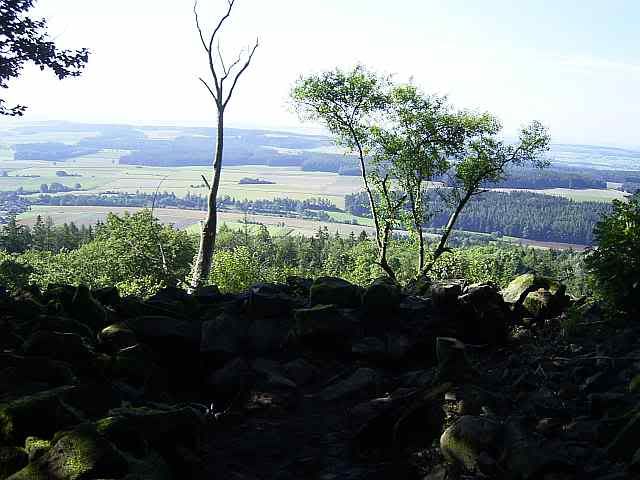 27Aug10RKulmT.jpg