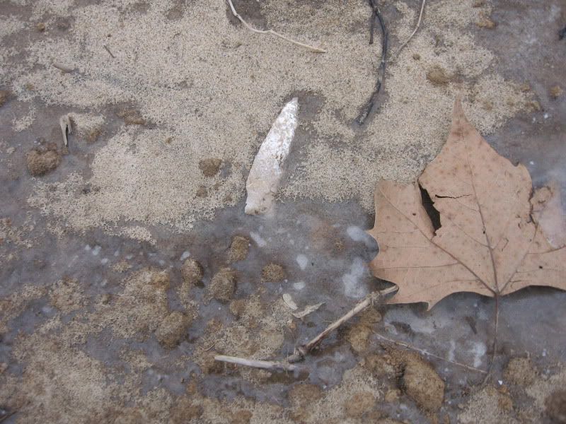 Arrowheads1-29-2010001.jpg