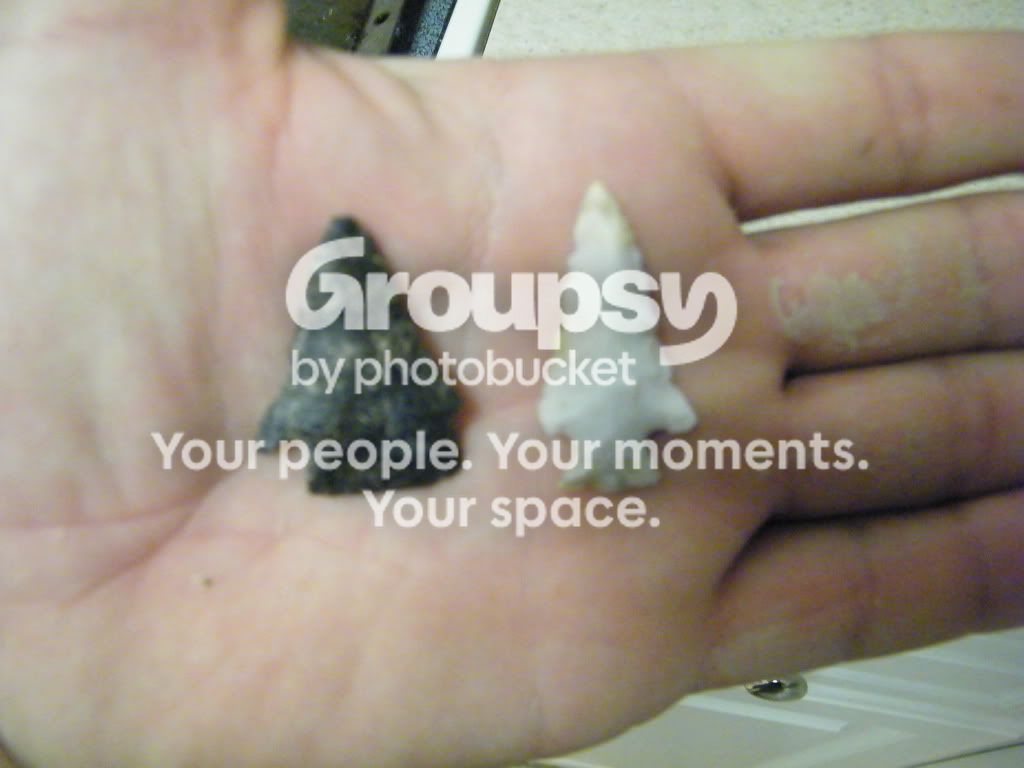 DSCF2330.jpg
