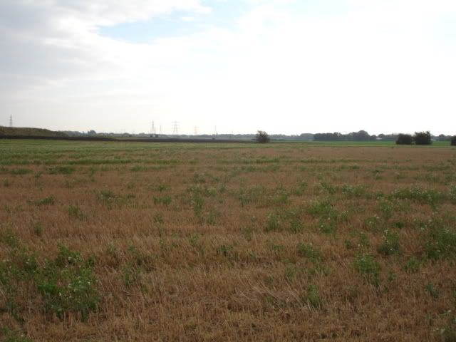 fields003.jpg