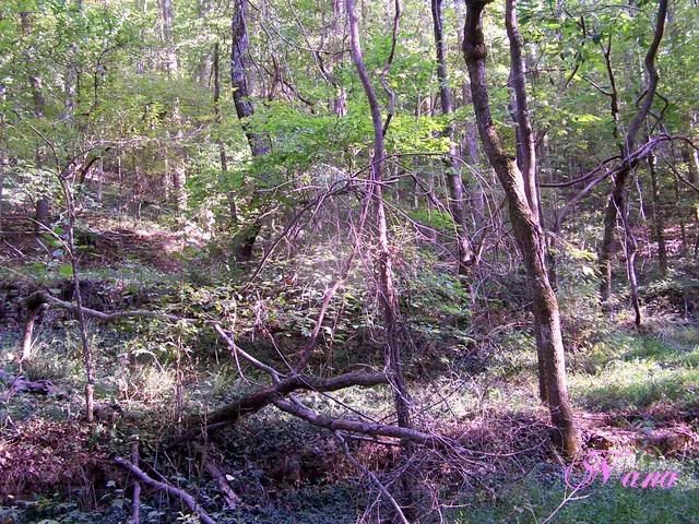 100_9201.jpg