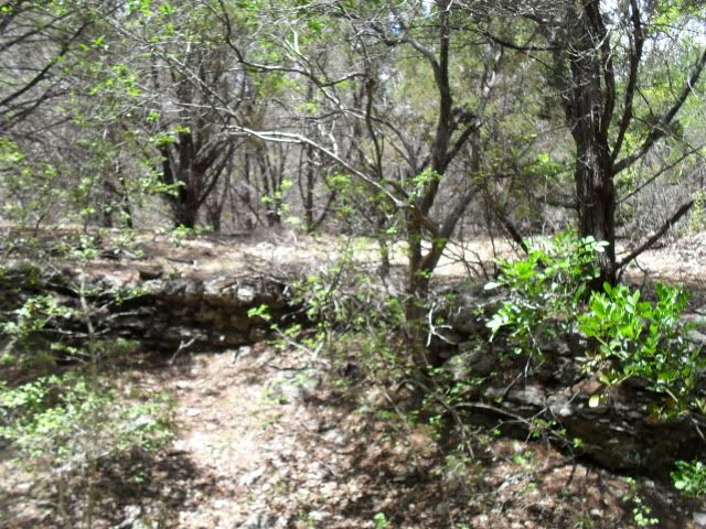 SDC17490.jpg